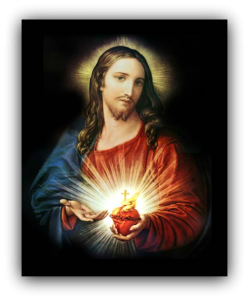 Image result for sacred heart of jesus image